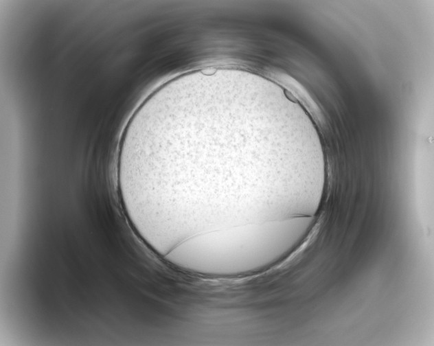 X0000095691244200802051306