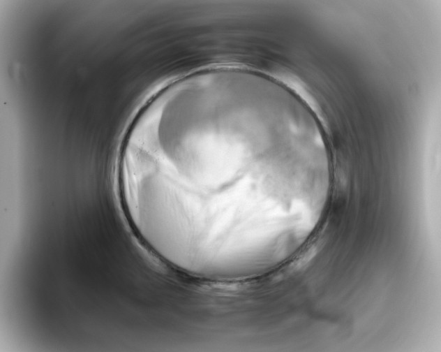 X0000095691245200802051306