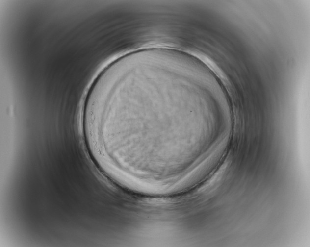 X0000095691246200802051306