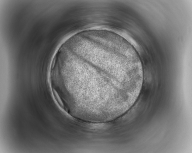 X0000095691247200802051306