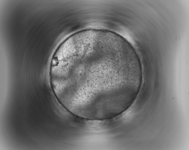 X0000095691248200802051306