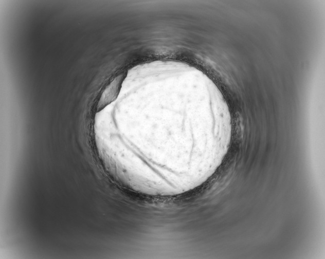 X0000095691249200802051305