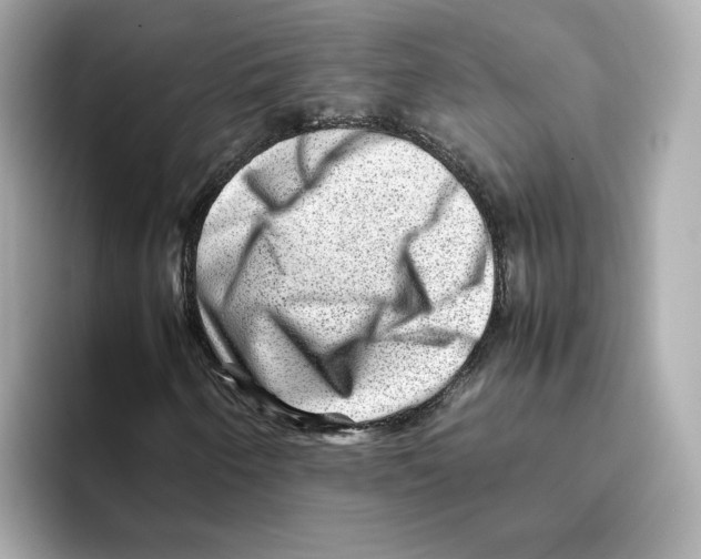 X0000095691250200802051305
