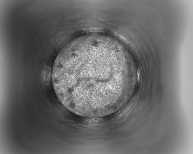 X0000095691251200802051305