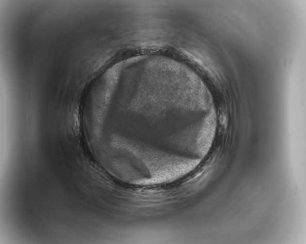 X0000095691252200802051305