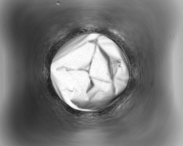 X0000095691253200802051305