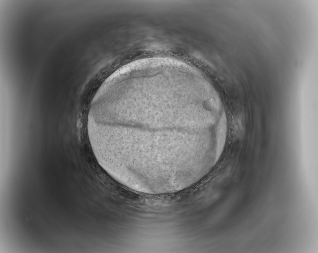 X0000095691254200802051305