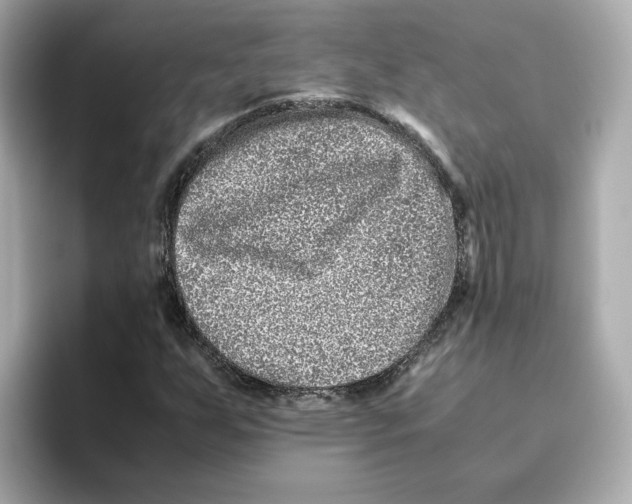 X0000095691255200802051305