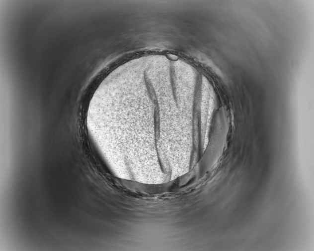 X0000095691256200802051305