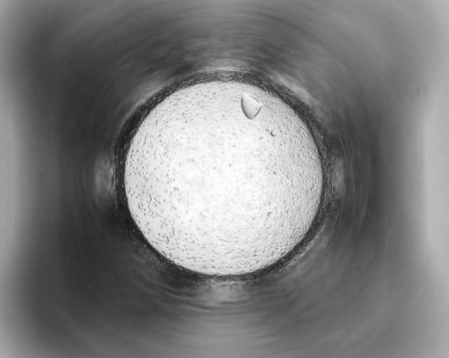 X0000095691258200802051305