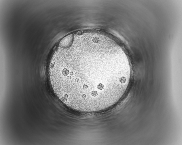 X0000095691259200802051305