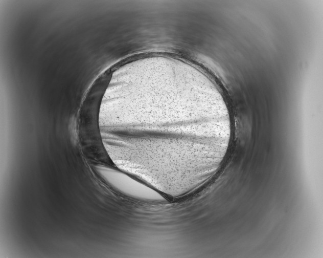 X0000095691260200802051305