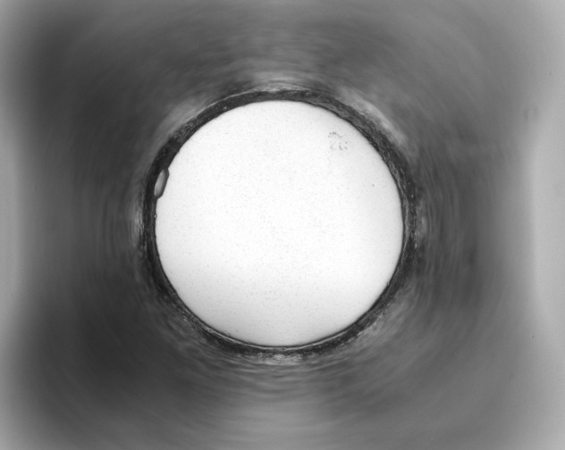 X0000095691261200802051305