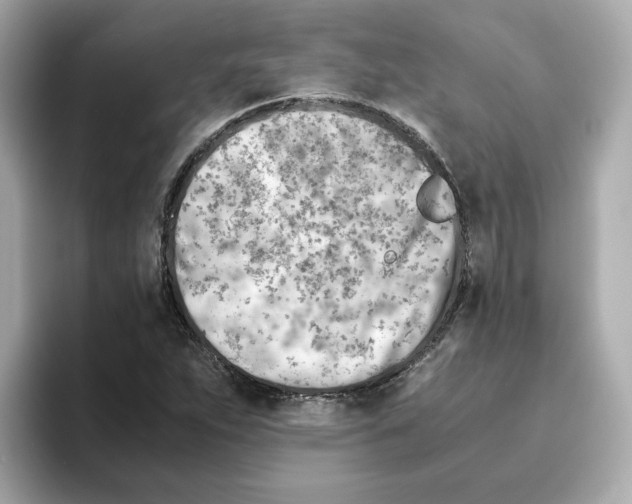 X0000095691263200802051305