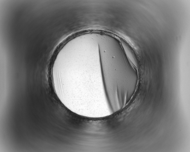 X0000095691264200802051305
