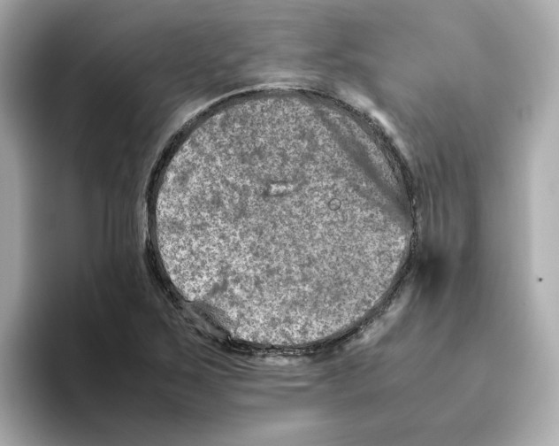 X0000095691267200802051305