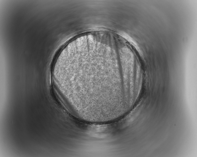 X0000095691269200802051305