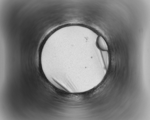 X0000095691270200802051305