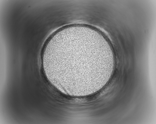 X0000095691271200802051305