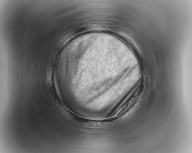 X0000095691273200802051305