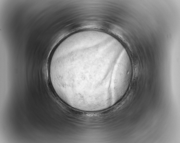 X0000095691274200802051305
