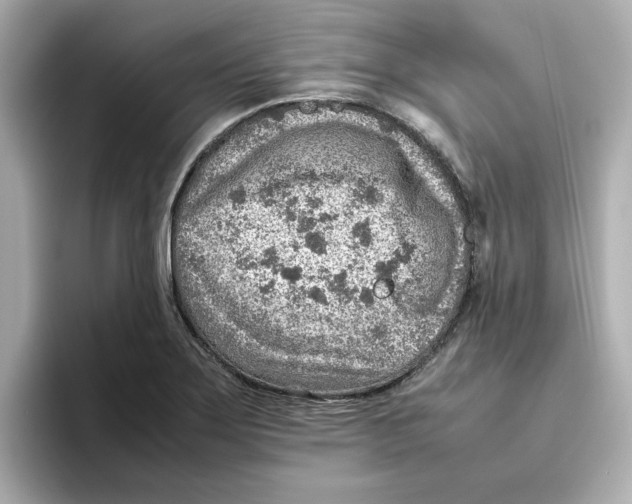 X0000095691275200802051305