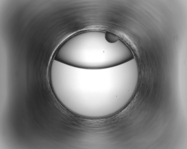 X0000095691276200802051305