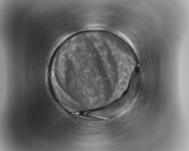 X0000095691277200802051305