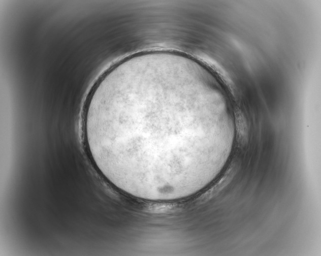 X0000095691278200802051305