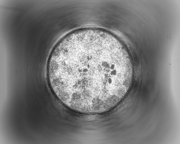 X0000095691279200802051305