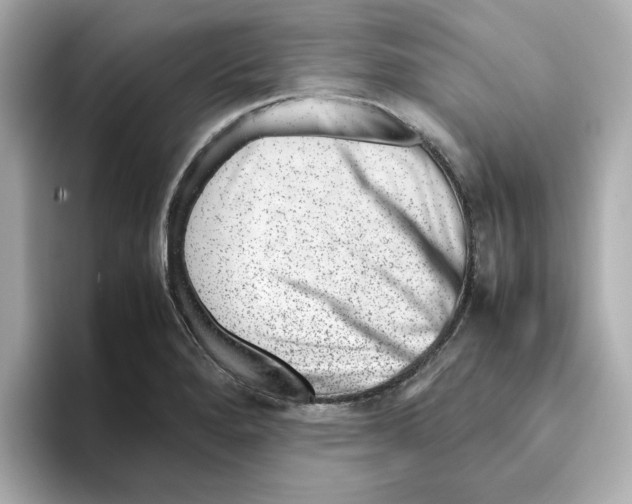 X0000095691280200802051305