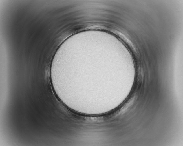 X0000095691281200802051305