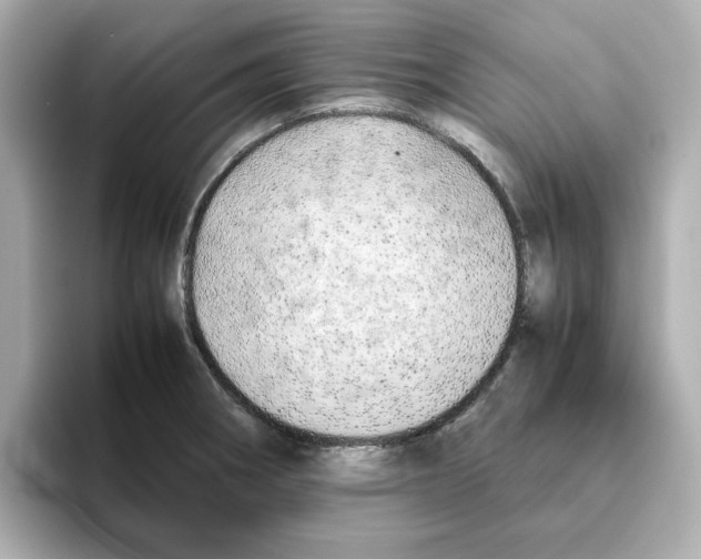 X0000095691282200802051305