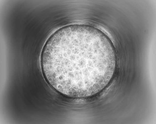 X0000095691283200802051305