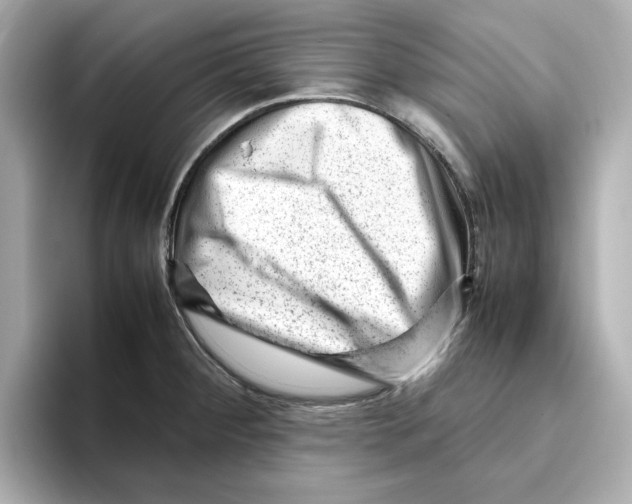 X0000095691284200802051305