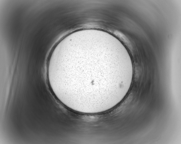 X0000095691286200802051305
