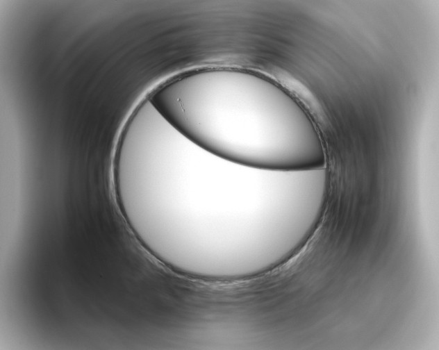 X0000095691288200802051305