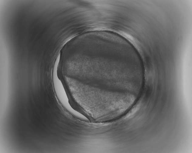 X0000095691289200802051305