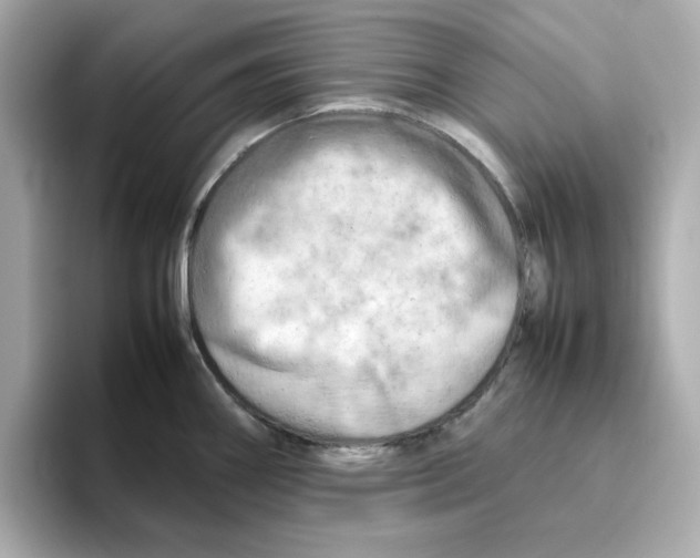 X0000095691290200802051305