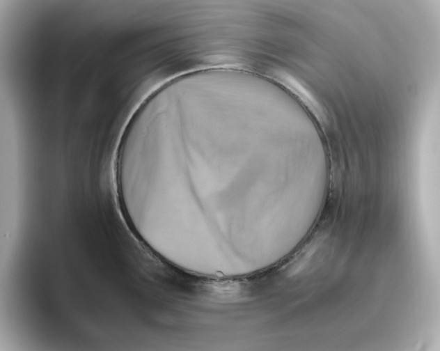 X0000095691291200802051305