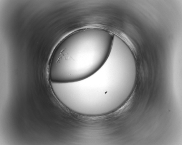 X0000095691292200802051305