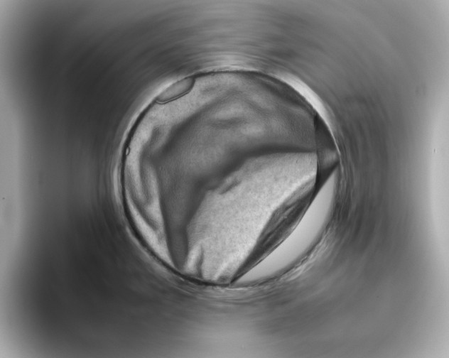 X0000095691293200802051305
