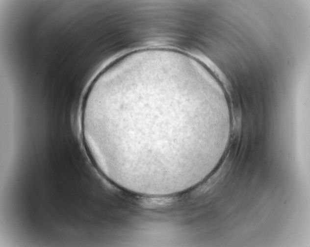 X0000095691294200802051305