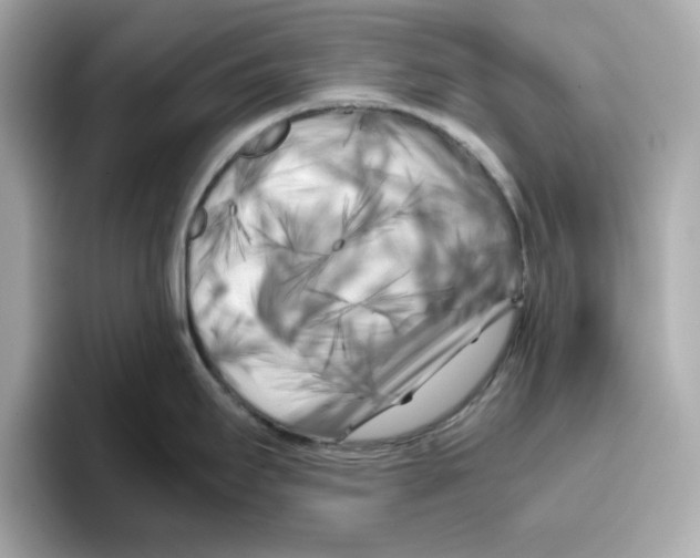 X0000095691295200802051305