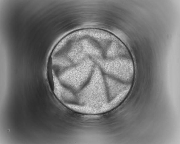 X0000095691296200802051305