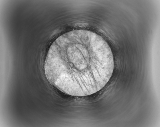 X0000095691297200802051304