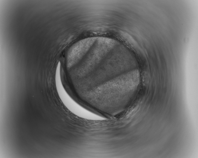 X0000095691298200802051304