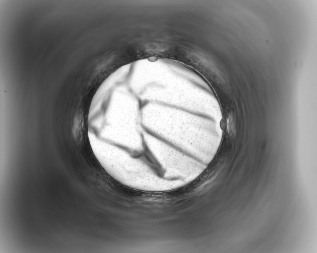 X0000095691299200802051304