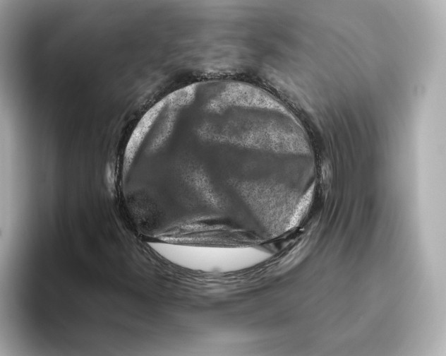 X0000095691300200802051304