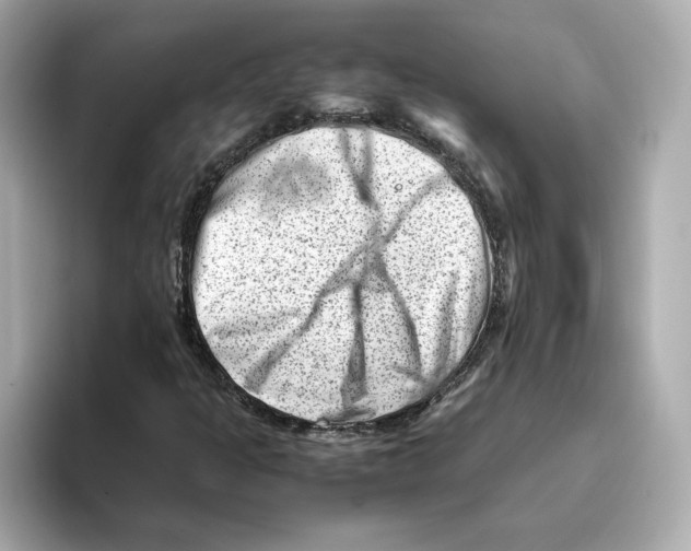 X0000095691301200802051304